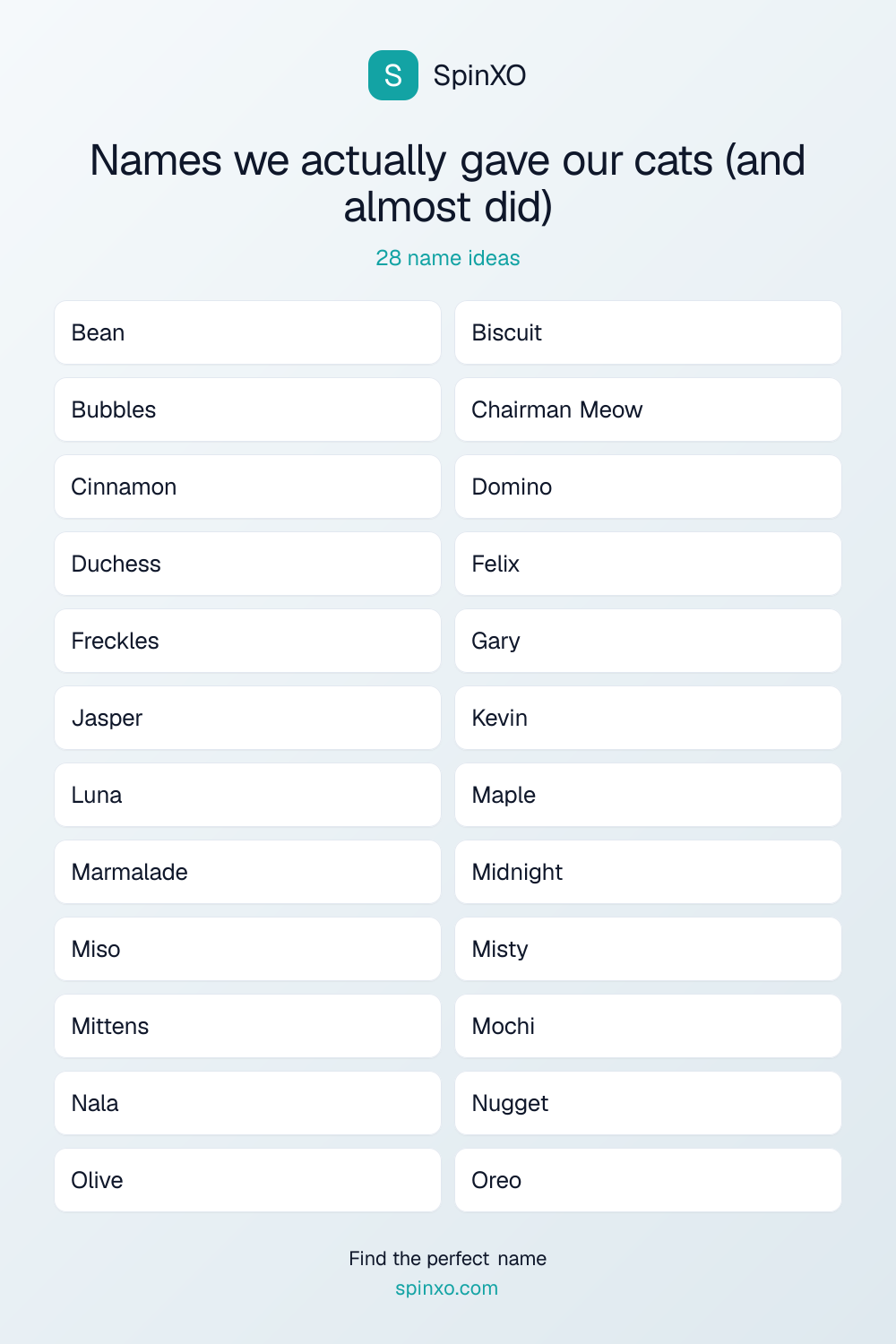 Names we actually gave our cats (and almost did) — name ideas