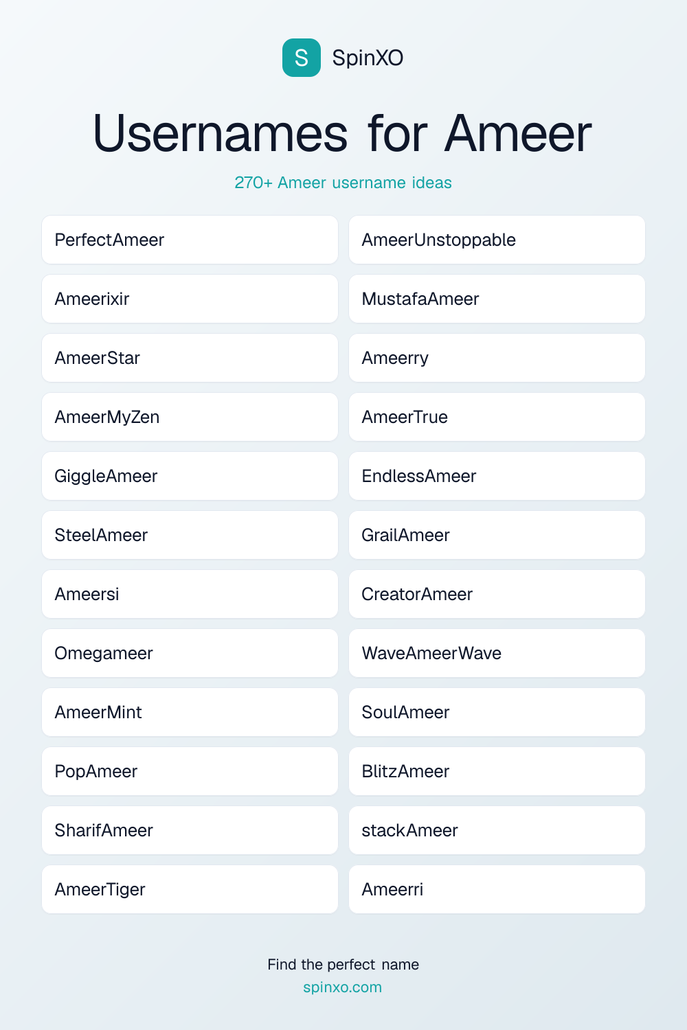 Usernames for Ameer