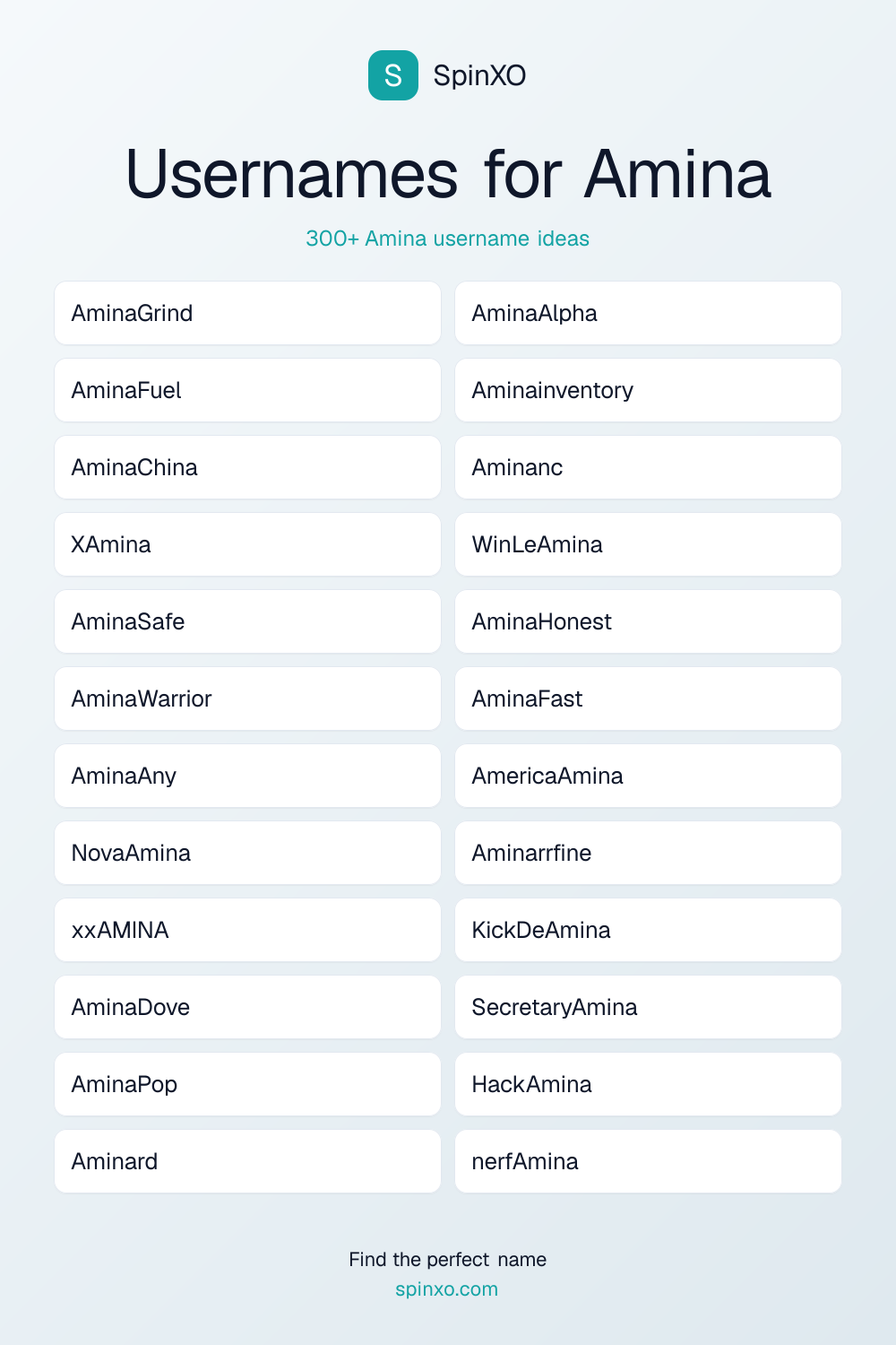 Usernames for Amina