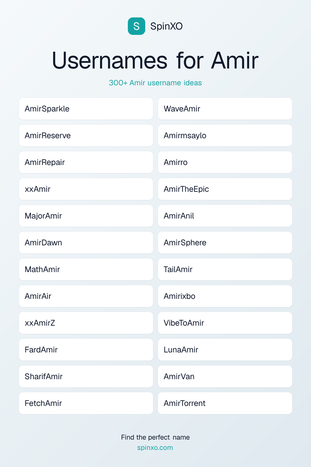 Usernames for Amir