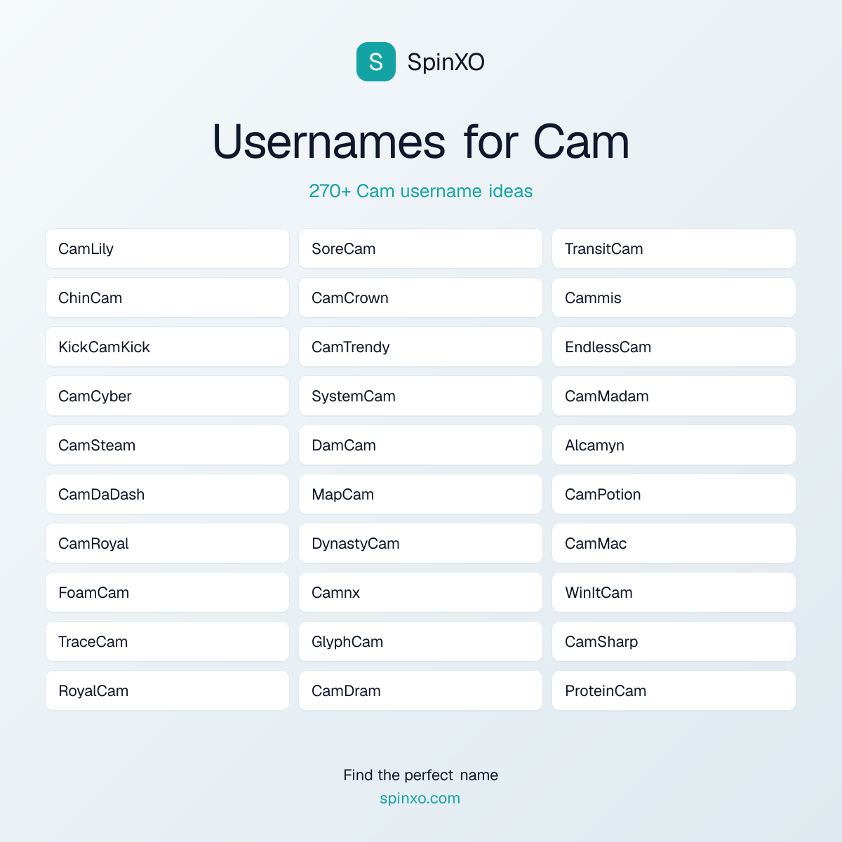Cam Username Ideas - 270+ Aesthetic, Cute & Cool Names | SpinXO