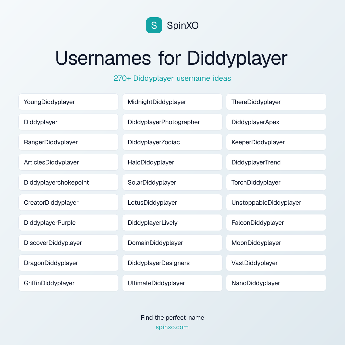 Diddyplayer Username Ideas - 270+ Aesthetic, Cute & Cool Names | SpinXO
