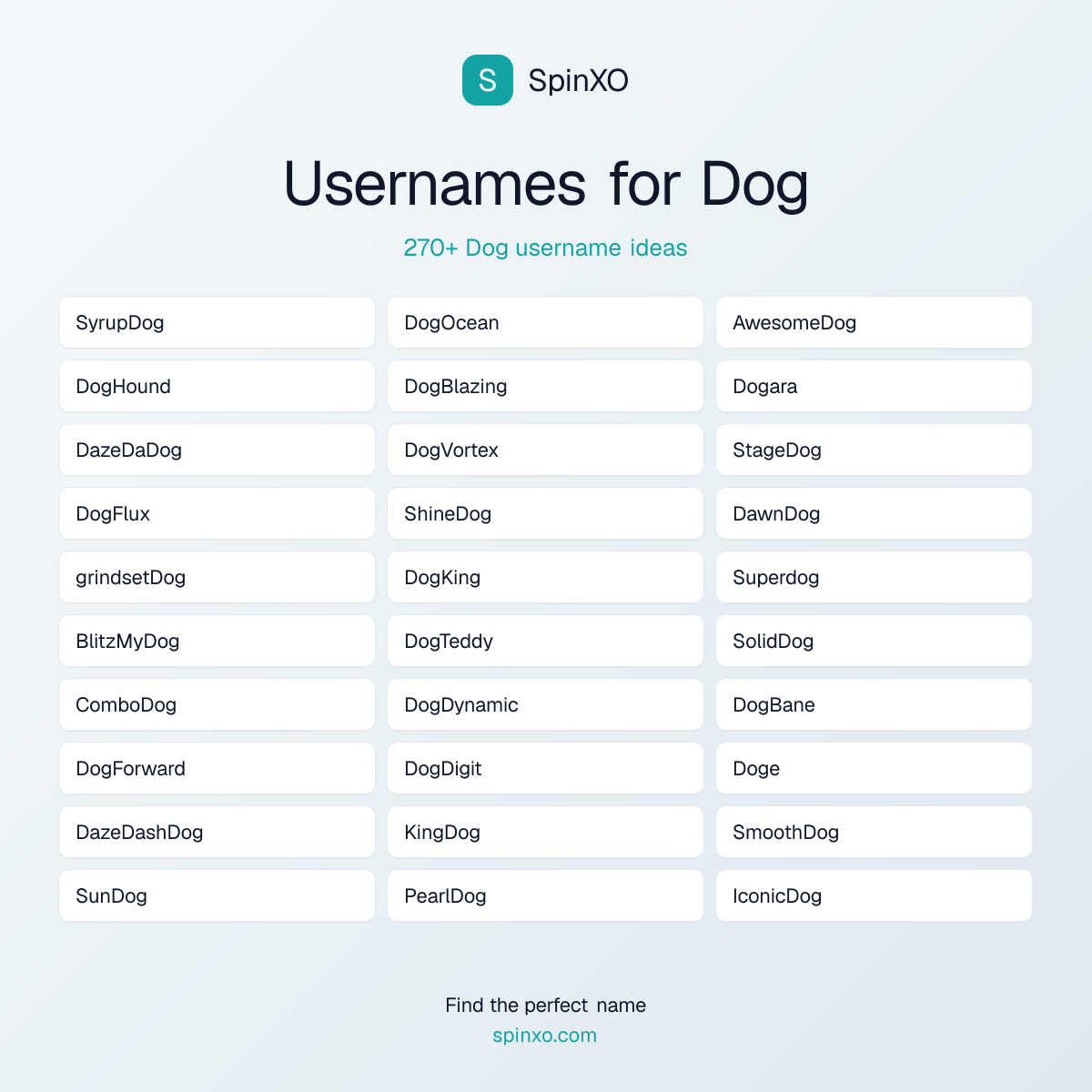 Dog Username Ideas - 270+ Aesthetic, Cute & Cool Names | SpinXO
