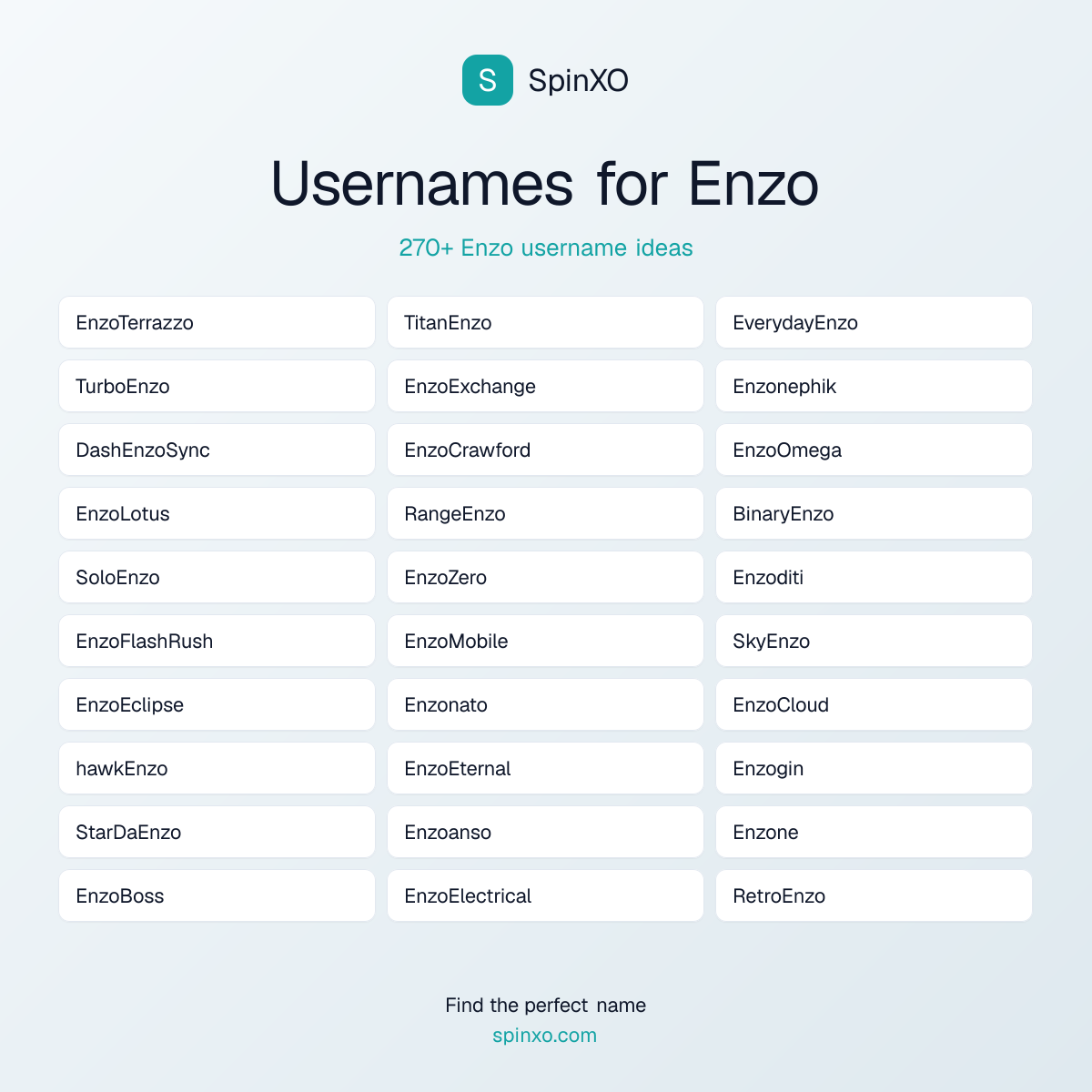 Enzo Username Ideas - 270+ Aesthetic, Cute & Cool Names | SpinXO