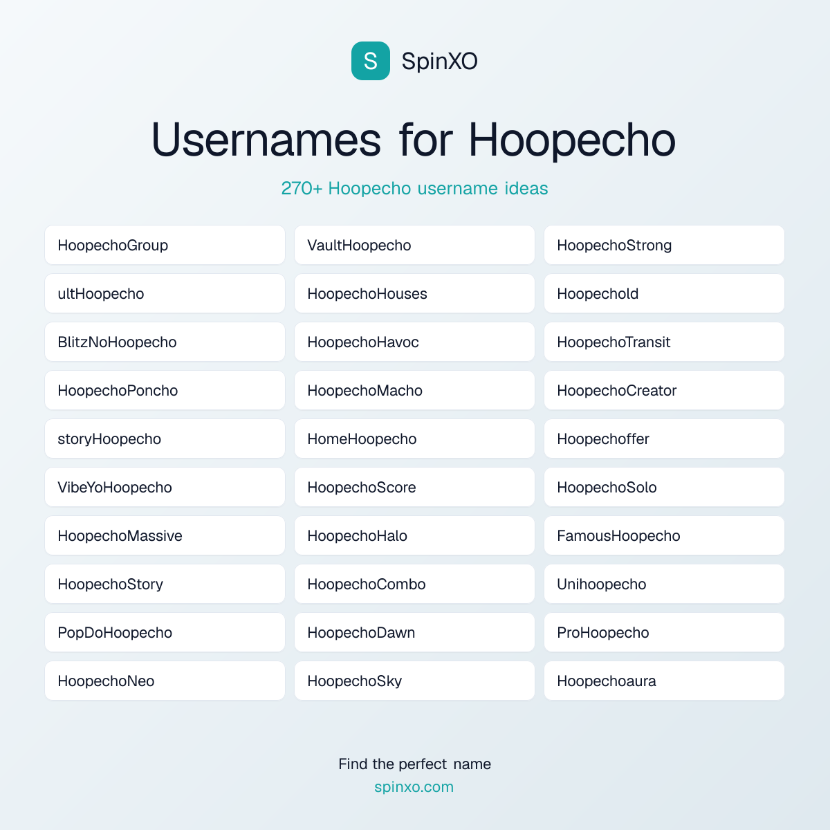 Hoopecho Username Ideas - 270+ Aesthetic, Cute & Cool Names | SpinXO