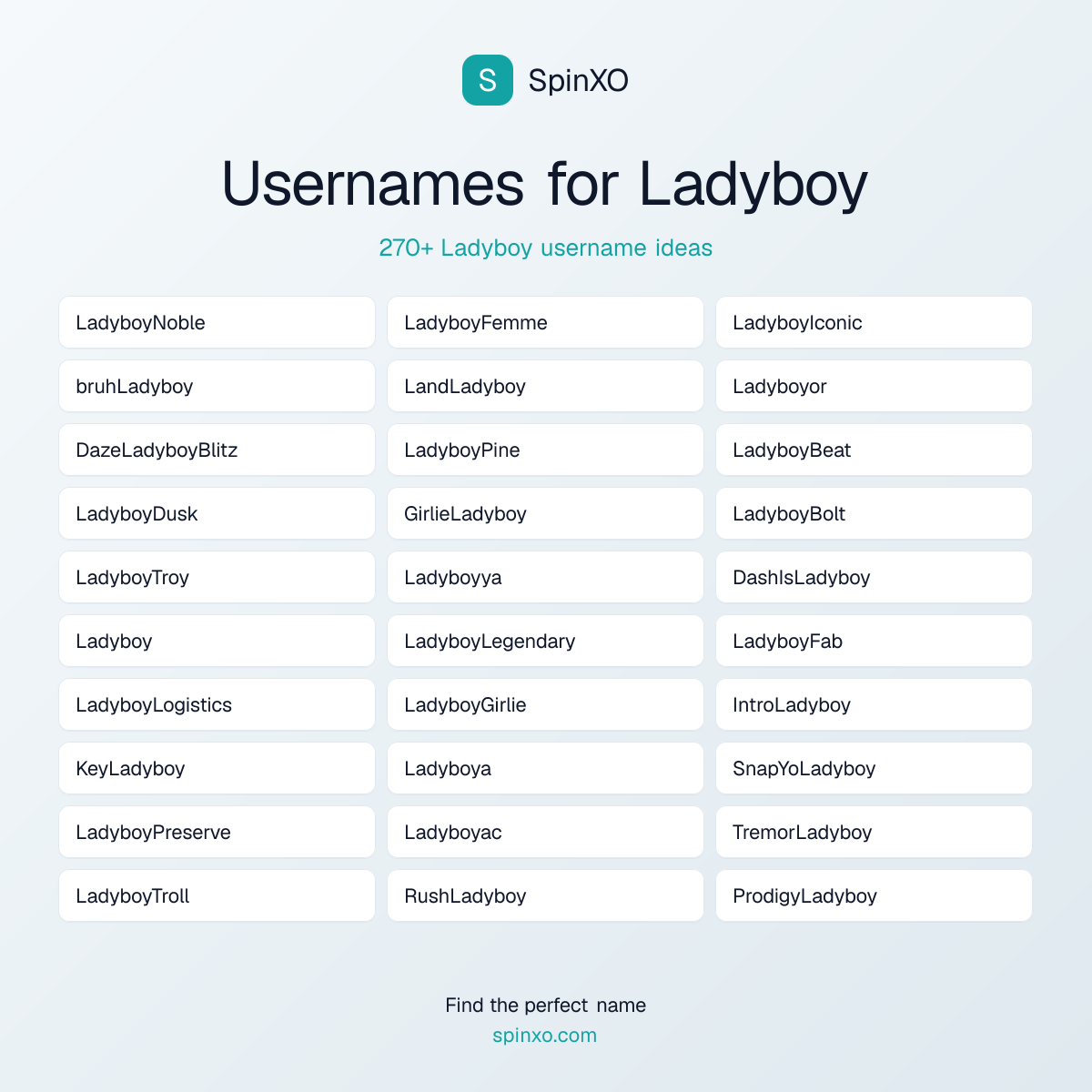 Ladyboy Username Ideas - 270+ Aesthetic, Cute & Cool Names | SpinXO