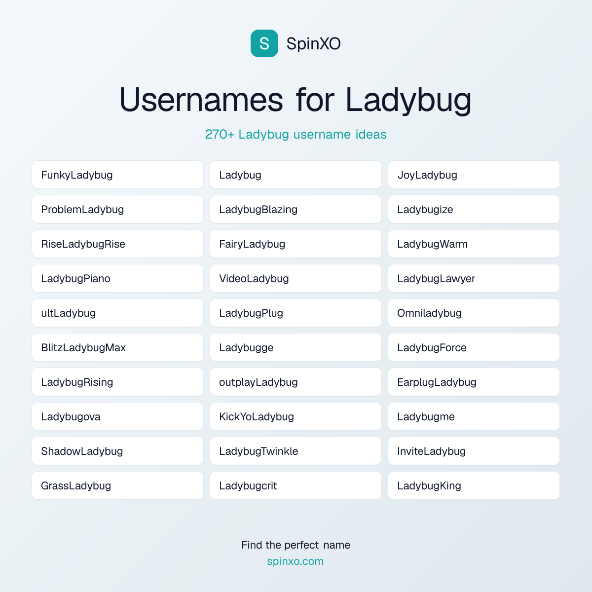 Ladybug Username Ideas - 270+ Aesthetic, Cute & Cool Names | SpinXO