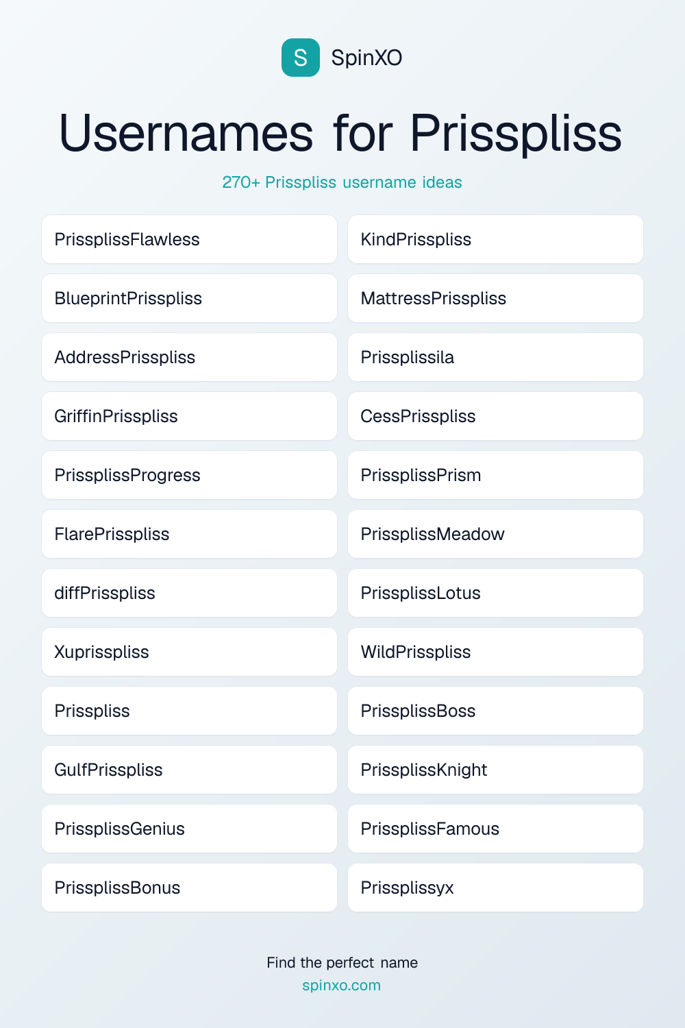 Prisspliss Username Ideas - 270+ Aesthetic, Cute & Cool Names | SpinXO