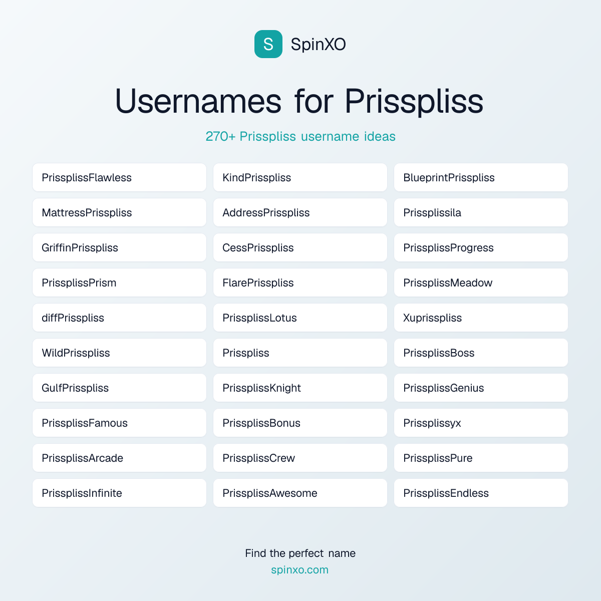Prisspliss Username Ideas - 270+ Aesthetic, Cute & Cool Names | SpinXO
