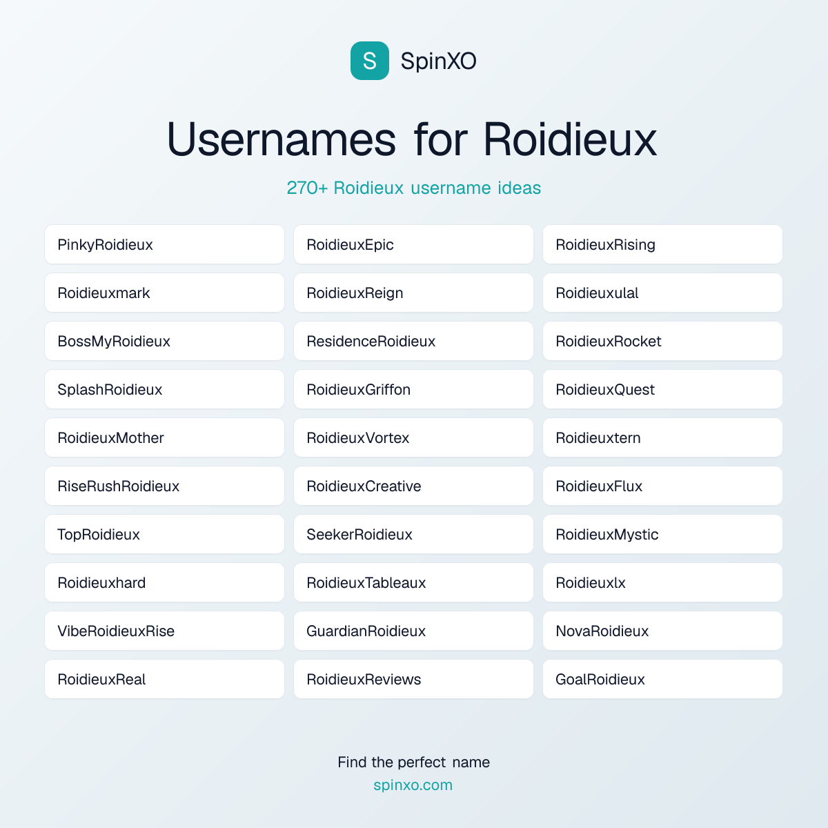 Roidieux Username Ideas - 270+ Aesthetic, Cute & Cool Names | SpinXO