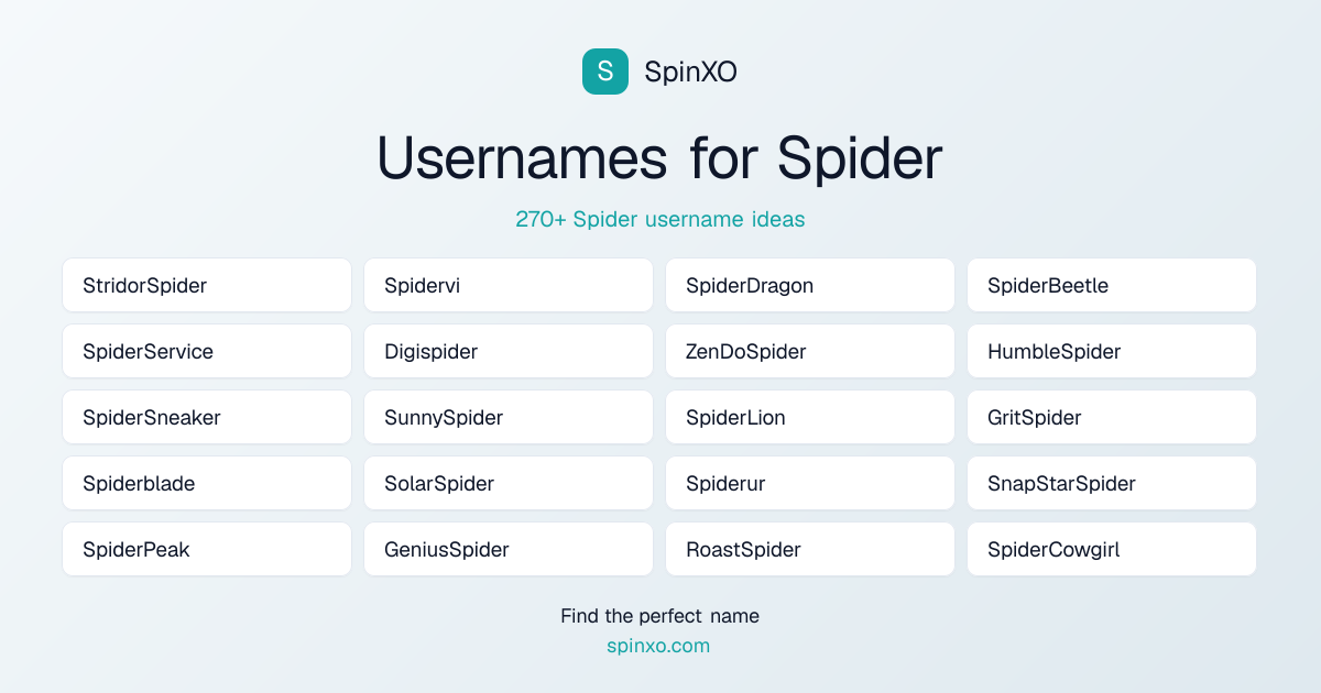 Spider Username Ideas - 270+ Aesthetic, Cute & Cool Names | SpinXO