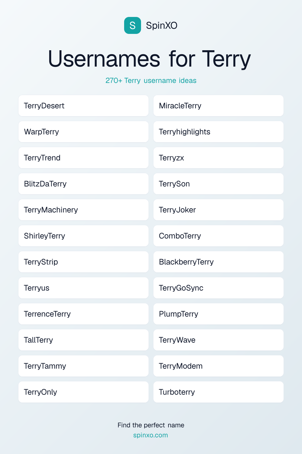 Terry Username Ideas - 270+ Aesthetic, Cute & Cool Names | SpinXO