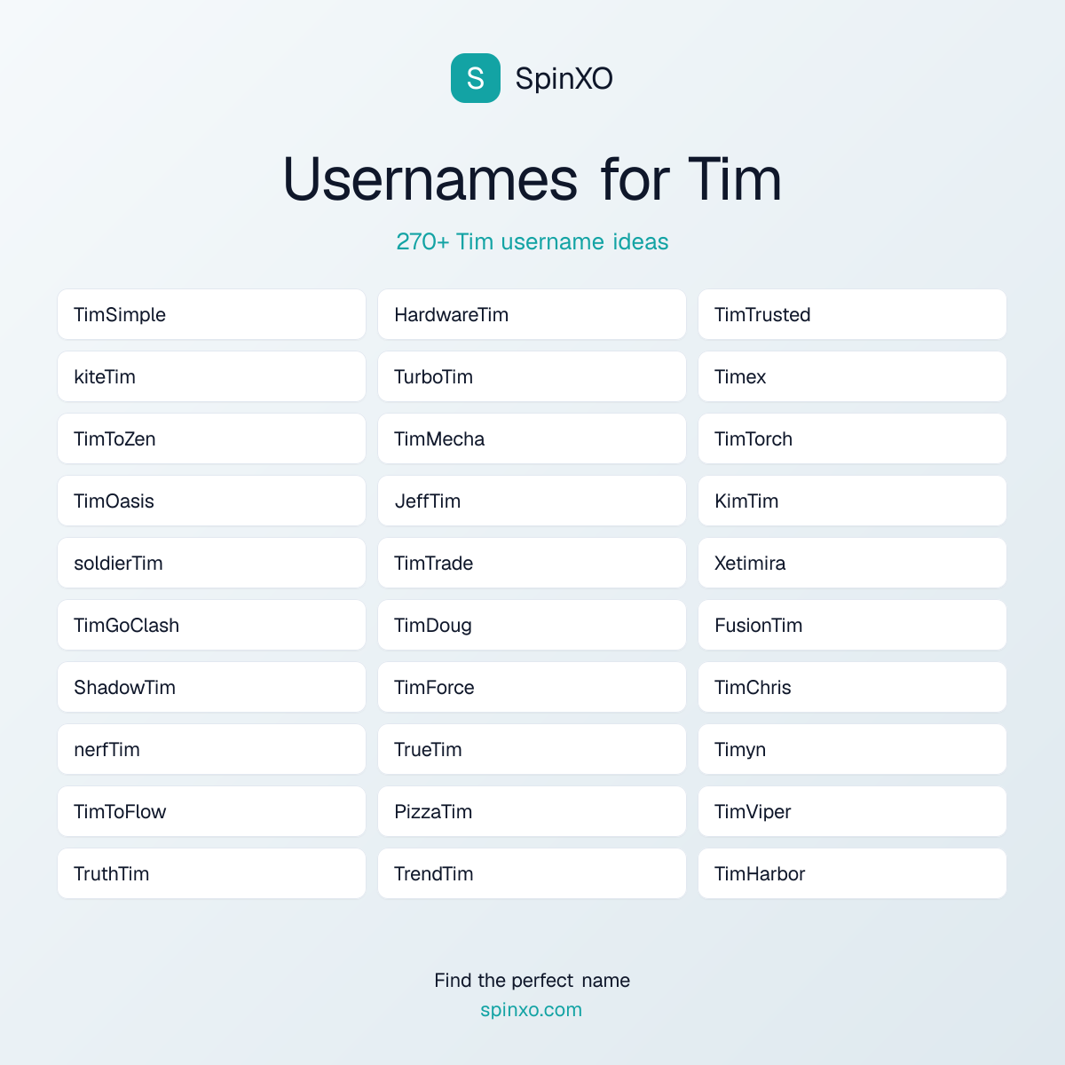 Tim Username Ideas - 270+ Aesthetic, Cute & Cool Names | SpinXO