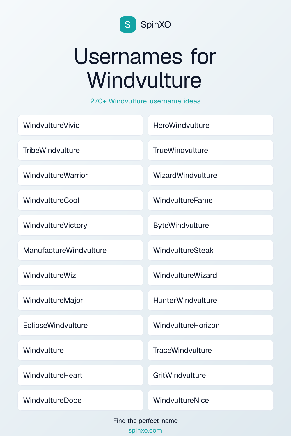Windvulture Username Ideas - 270+ Aesthetic, Cute & Cool Names | SpinXO
