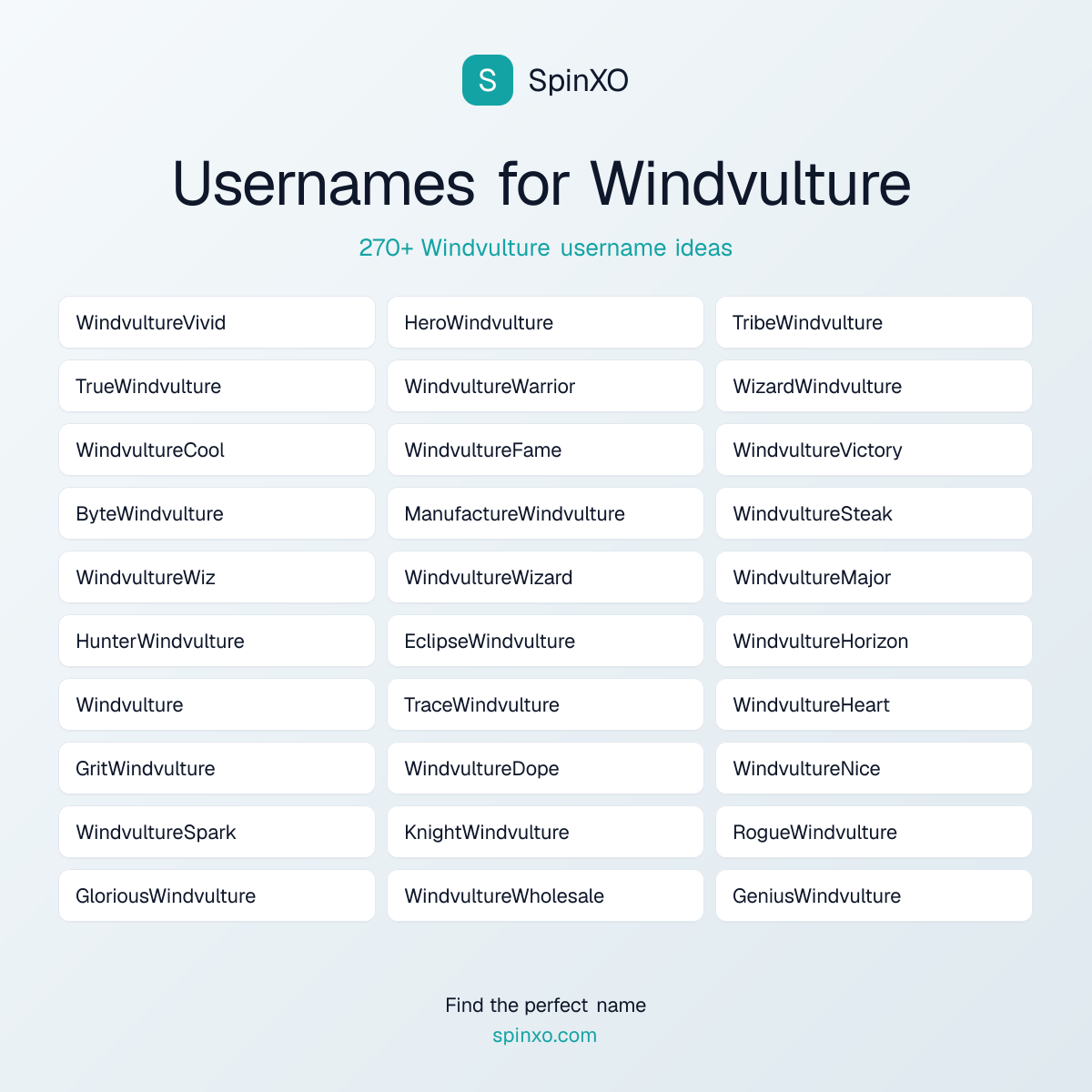 Windvulture Username Ideas - 270+ Aesthetic, Cute & Cool Names | SpinXO
